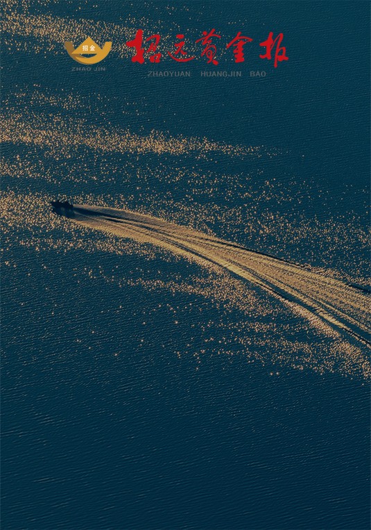 1720138042765008922